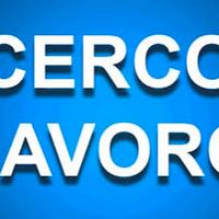 Logistica, SAP, Back Office e Data Entry