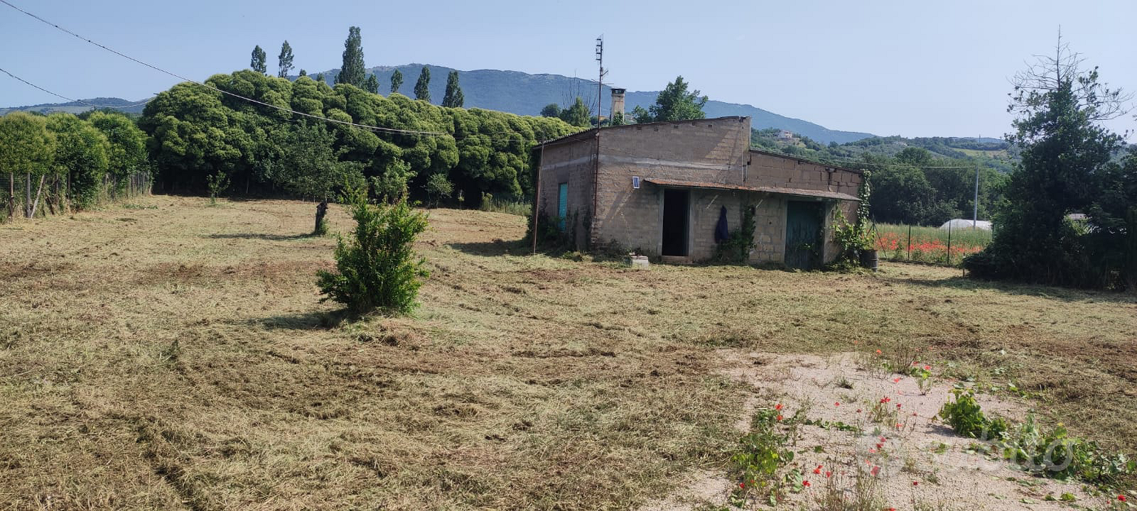 Rustico con terreno - Vista 3