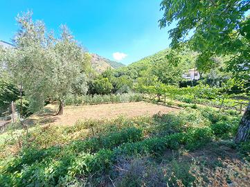 CASA SEMINDIPENDENTE A BARONISSI