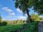 Immagine 21