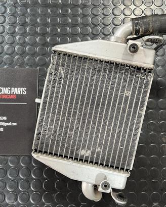 RADIATORE ACQUA MV AGUSTA F4 1000 312 R 2007 2009