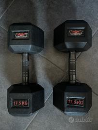 Manubri palestra totali 35 kg.