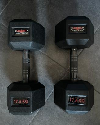 Manubri palestra totali 35 kg.