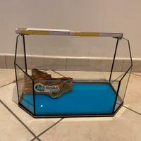 Tartarughiera in vetro