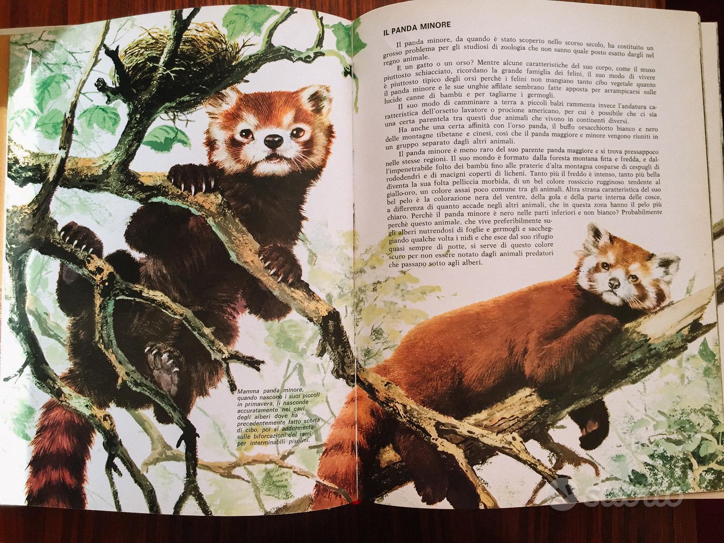 libri per bambini usati animali