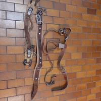 Imbracature varie in cuoio