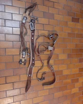 Imbracature varie in cuoio