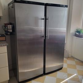 Frigo e Congelatore LIEBHERR