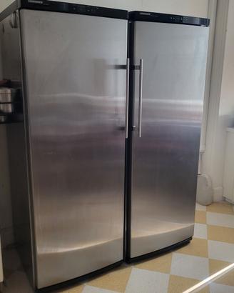 Frigo e Congelatore LIEBHERR