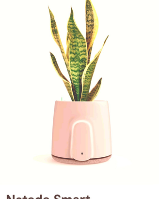 NATEDE SMART Purificatore d'aria piante vere NUOVO