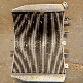 radiatore Kawasaki ninja ZX 636
