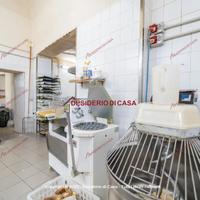 Locale, Castellammare - Loggia, Palermo.