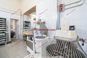 Locale, Castellammare - Loggia, Palermo.