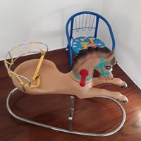 cavallino a dondolo Canova anni '60