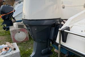 Selva dorado 40/60