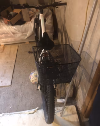 Bici elettrica da donna