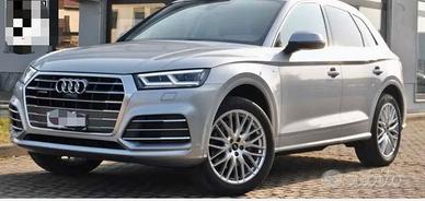 Q5  40 TDI full  optional