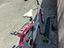 Immagine 5