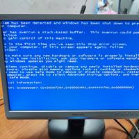 monitor 