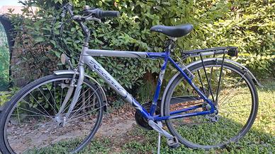Bici da uomo