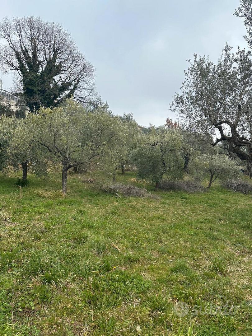 Terreno edificabile categoria B1 - Vista 3
