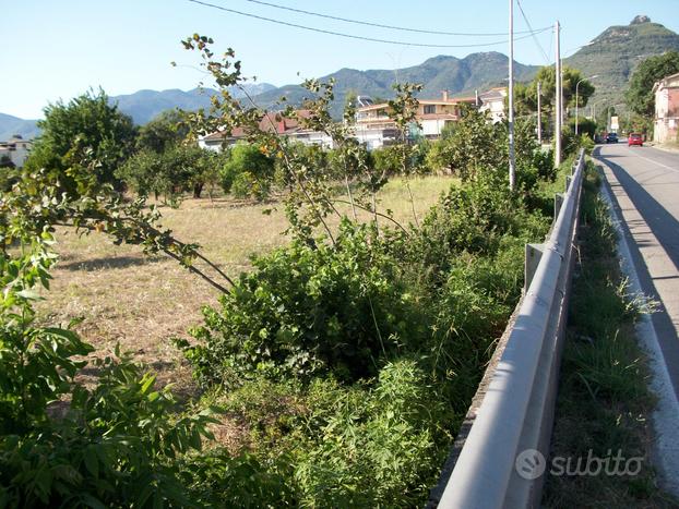 Terreno industriale