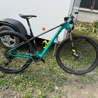 MTB LeeCougan carbonio