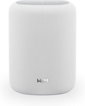 wiim sound lite speakera