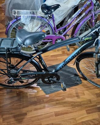 Bici elettrica pedalata assistita