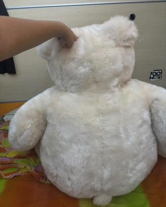 orso trudi