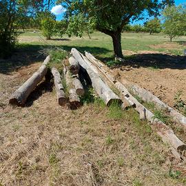 Travi di legno