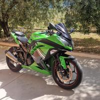 Kawasaky 300