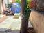 Immagine 21