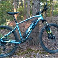Mountain Bike Elettrica E-ST 100