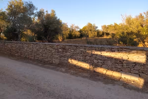 Terreno mq. 6000 loc. Pischina Ruia - Sassari-
