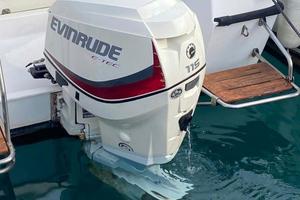 Evinrude e-tec 115cv