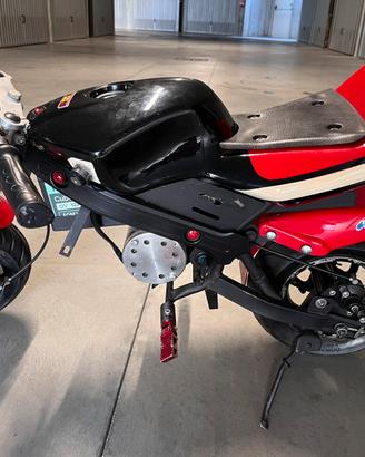Minimoto elettrica per bambini 800W