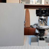 Microscopio Leitz Wetzlar SM-LUX