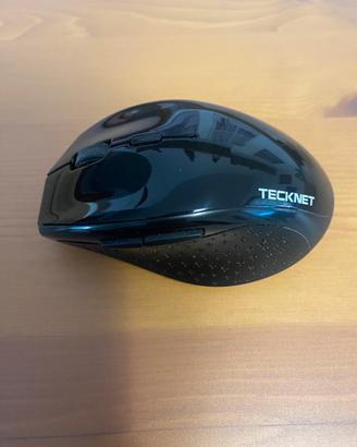 Mouse