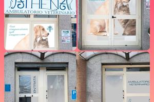 Cessione o Gestione AMBULATORIO VETERINARIO