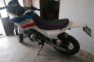 Honda Dominator