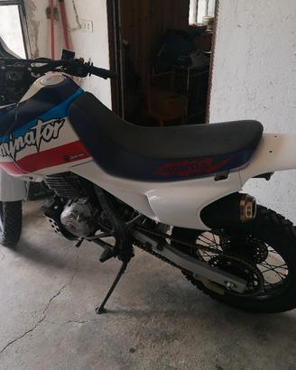Honda Dominator