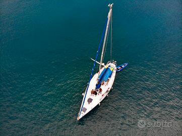 Barca a vela - Orca 43 - 13.3 metri