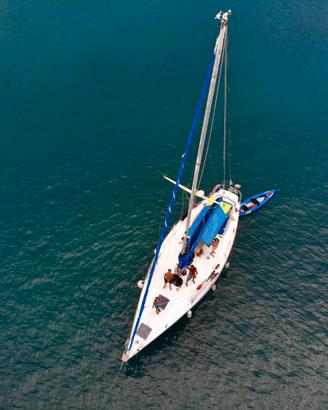 Barca a vela - Orca 43 - 13.3 metri