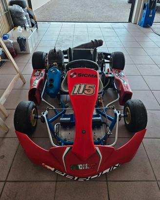 Go Kart 60cc - motore messo appunto