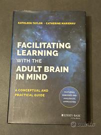 Facilitating Learning with the Adult Brain in Mind