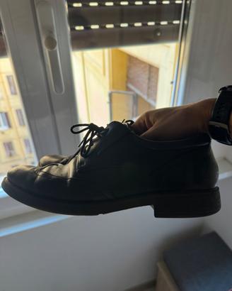 Scarpe Geox