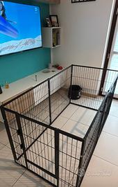 Recinto per cani