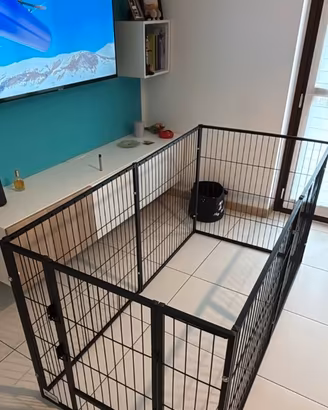 Recinto per cani