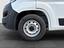 Immagine 14